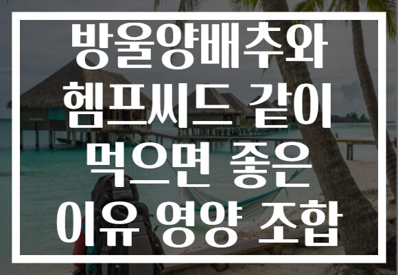 방울양배추와 헴프씨드 같이 먹으면 좋은 이유 영양 조합