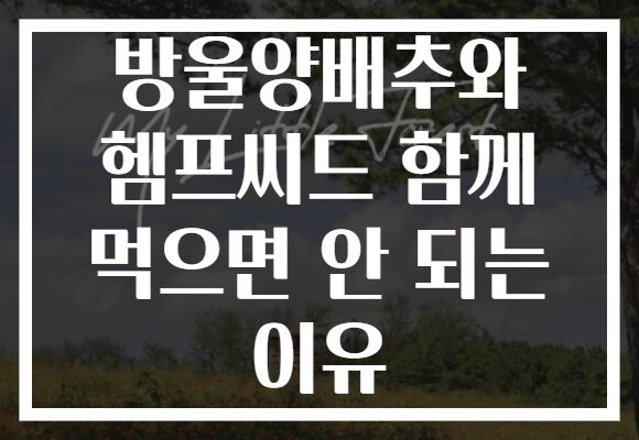 방울양배추와 헴프씨드 함께 먹으면 안 되는 이유