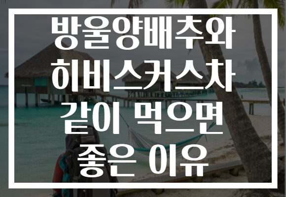 방울양배추와 히비스커스차 같이 먹으면 좋은 이유