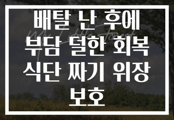배탈 난 후에 부담 덜한 회복 식단 짜기 위장 보호