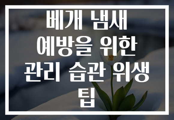 베개 냄새 예방을 위한 관리 습관 위생 팁