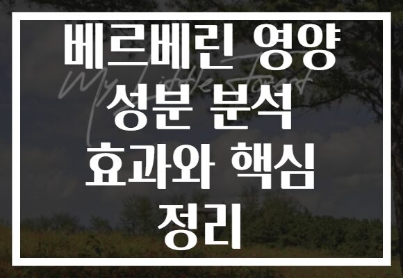 베르베린 영양 성분 분석 효과와 핵심 정리