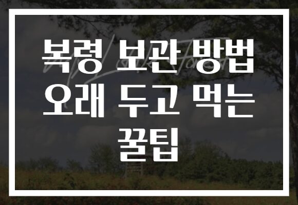 복령 보관 방법 오래 두고 먹는 꿀팁