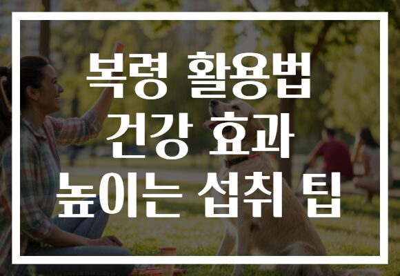 복령 활용법 건강 효과 높이는 섭취 팁