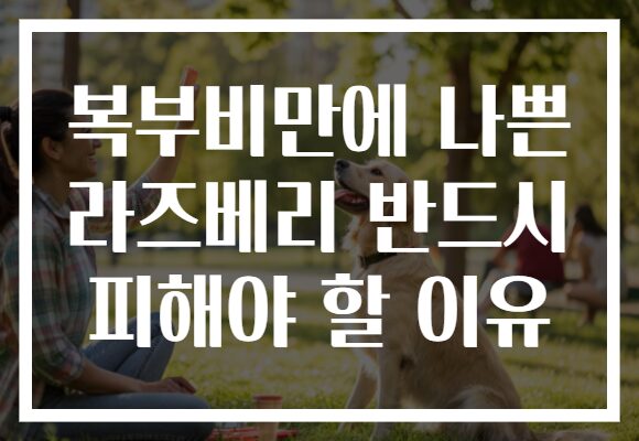 복부비만에 나쁜 라즈베리 반드시 피해야 할 이유