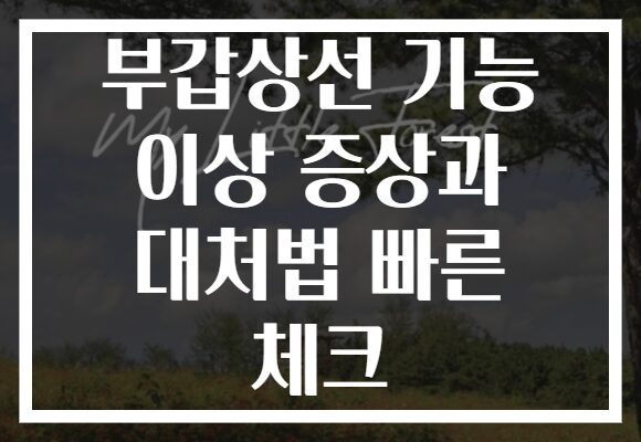 부갑상선 기능 이상 증상과 대처법 빠른 체크