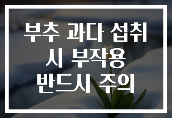 부추 과다 섭취 시 부작용 반드시 주의