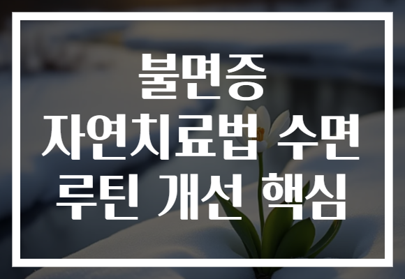 불면증 자연치료법 수면 루틴 개선 핵심