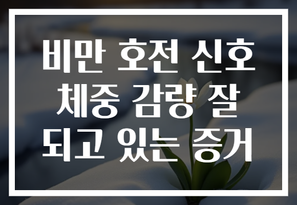 비만 호전 신호 체중 감량 잘 되고 있는 증거