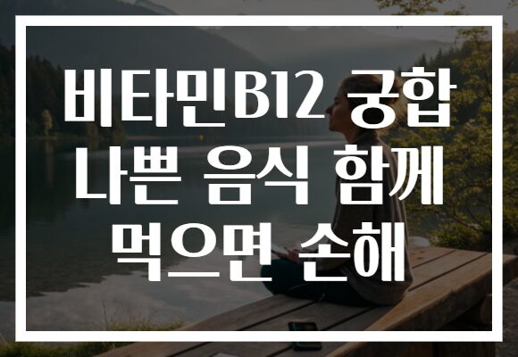 비타민B12 궁합 나쁜 음식 함께 먹으면 손해