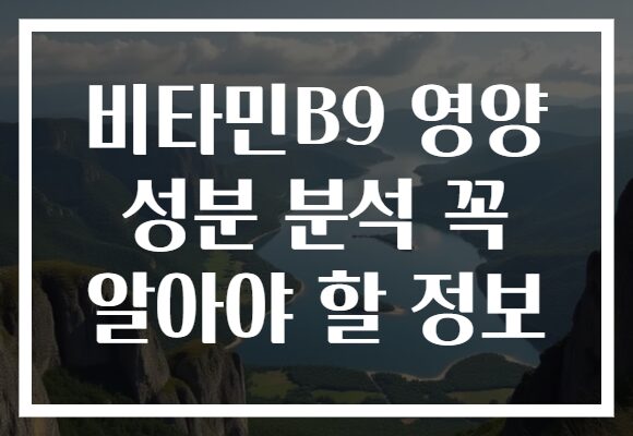 비타민B9 영양 성분 분석 꼭 알아야 할 정보
