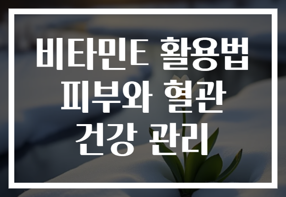 비타민E 활용법 피부와 혈관 건강 관리