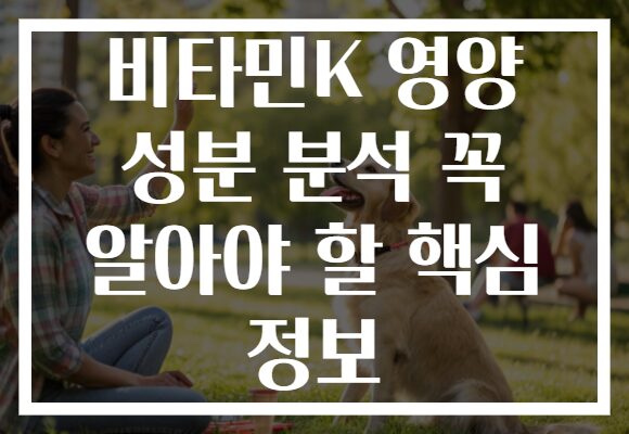 비타민K 영양 성분 분석 꼭 알아야 할 핵심 정보