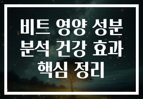 비트 영양 성분 분석 건강 효과 핵심 정리