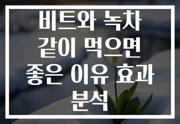 비트와 녹차 같이 먹으면 좋은 이유 효과 분석