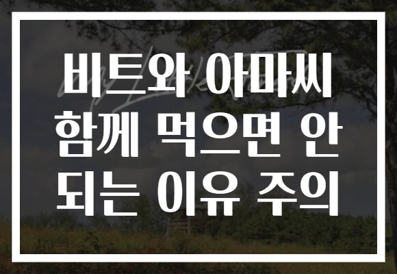 비트와 아마씨 함께 먹으면 안 되는 이유 주의
