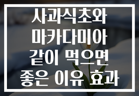 사과식초와 마카다미아 같이 먹으면 좋은 이유 효과