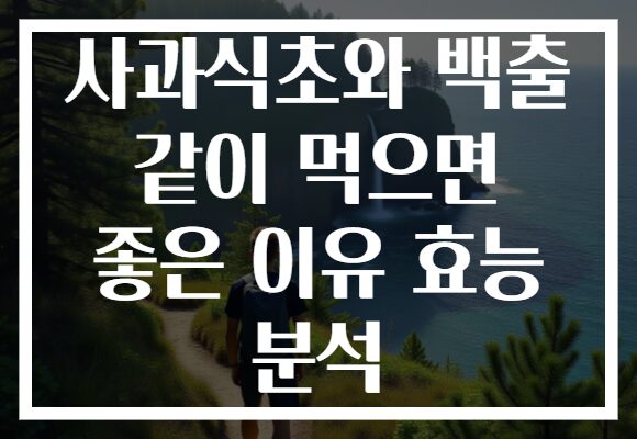 사과식초와 백출 같이 먹으면 좋은 이유 효능 분석