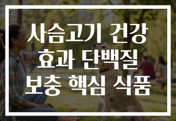 사슴고기 건강 효과 단백질 보충 핵심 식품