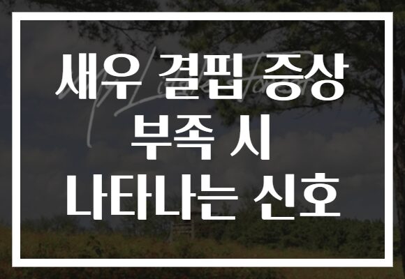 새우 결핍 증상 부족 시 나타나는 신호