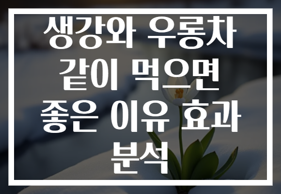 생강와 우롱차 같이 먹으면 좋은 이유 효과 분석
