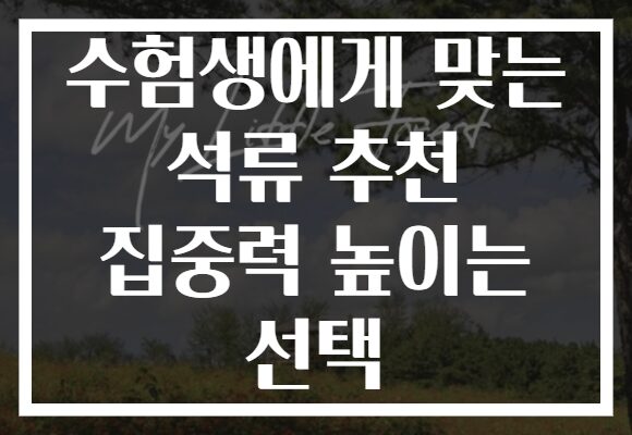 수험생에게 맞는 석류 추천 집중력 높이는 선택