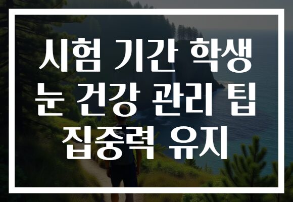 시험 기간 학생 눈 건강 관리 팁 집중력 유지