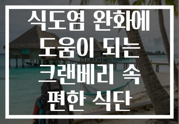 식도염 완화에 도움이 되는 크랜베리 속 편한 식단