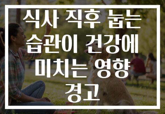 식사 직후 눕는 습관이 건강에 미치는 영향 경고