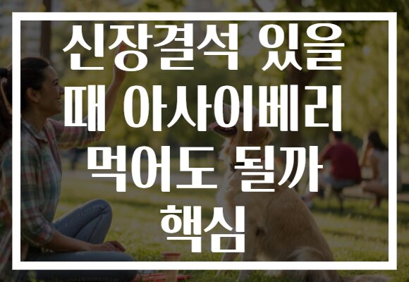 신장결석 있을 때 아사이베리 먹어도 될까 핵심