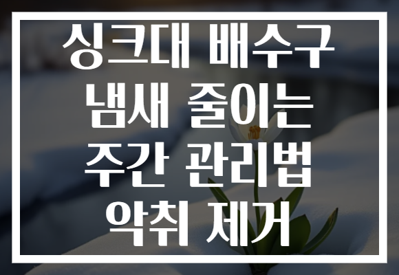 싱크대 배수구 냄새 줄이는 주간 관리법 악취 제거