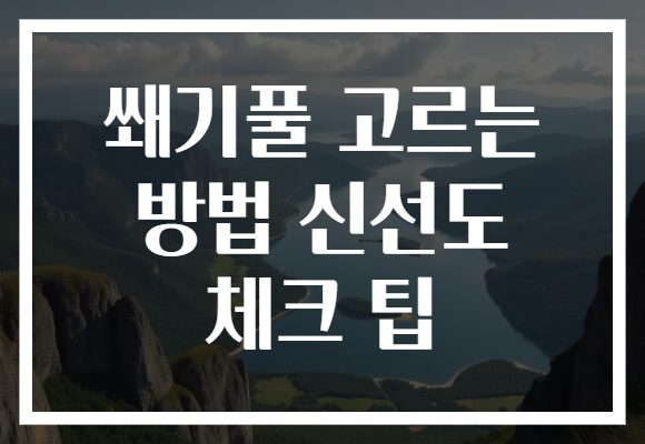 쐐기풀 고르는 방법 신선도 체크 팁