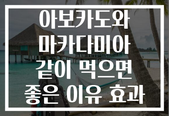 아보카도와 마카다미아 같이 먹으면 좋은 이유 효과