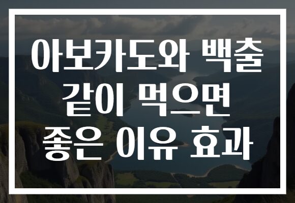 아보카도와 백출 같이 먹으면 좋은 이유 효과