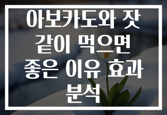 아보카도와 잣 같이 먹으면 좋은 이유 효과 분석