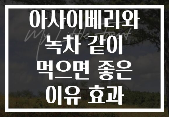 아사이베리와 녹차 같이 먹으면 좋은 이유 효과