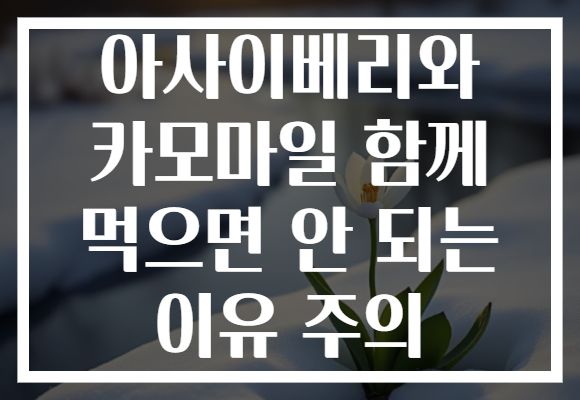 아사이베리와 카모마일 함께 먹으면 안 되는 이유 주의