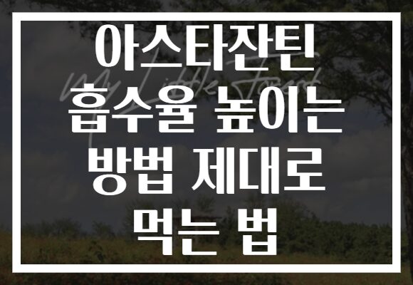 아스타잔틴 흡수율 높이는 방법 제대로 먹는 법