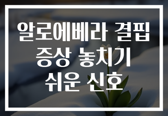 알로에베라 결핍 증상 놓치기 쉬운 신호