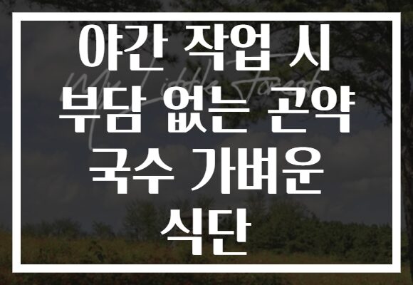 야간 작업 시 부담 없는 곤약 국수 가벼운 식단