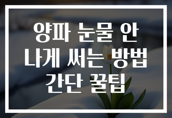 양파 눈물 안 나게 써는 방법 간단 꿀팁