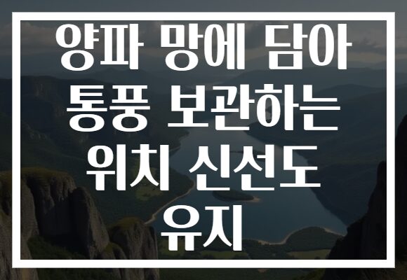 양파 망에 담아 통풍 보관하는 위치 신선도 유지