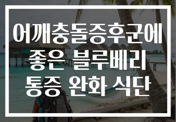 어깨충돌증후군에 좋은 블루베리 통증 완화 식단