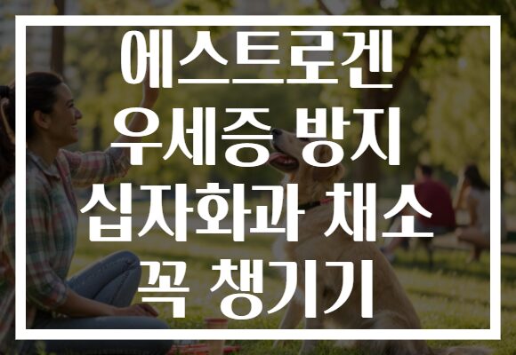 에스트로겐 우세증 방지 십자화과 채소 꼭 챙기기