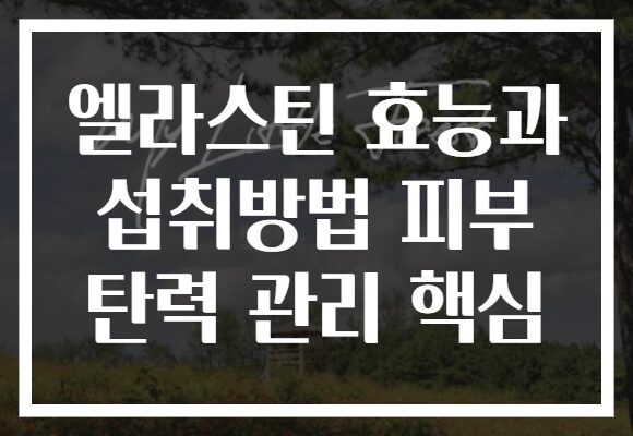 엘라스틴 효능과 섭취방법 피부 탄력 관리 핵심