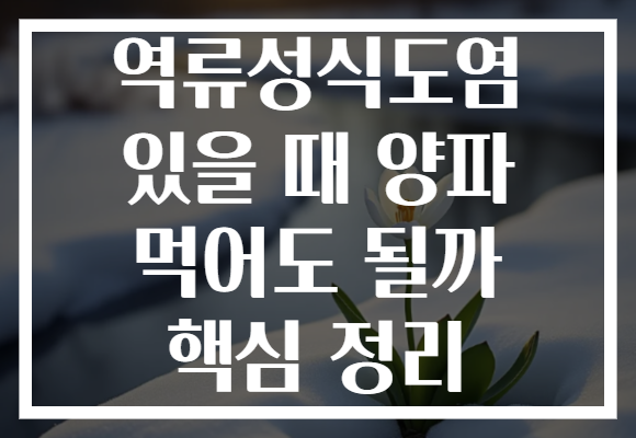 역류성식도염 있을 때 양파 먹어도 될까 핵심 정리