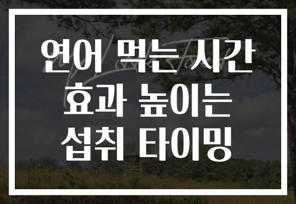 연어 먹는 시간 효과 높이는 섭취 타이밍
