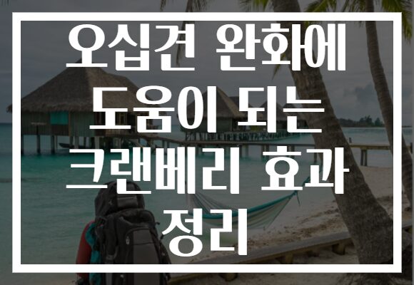 오십견 완화에 도움이 되는 크랜베리 효과 정리