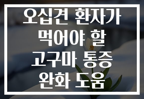 오십견 환자가 먹어야 할 고구마 통증 완화 도움