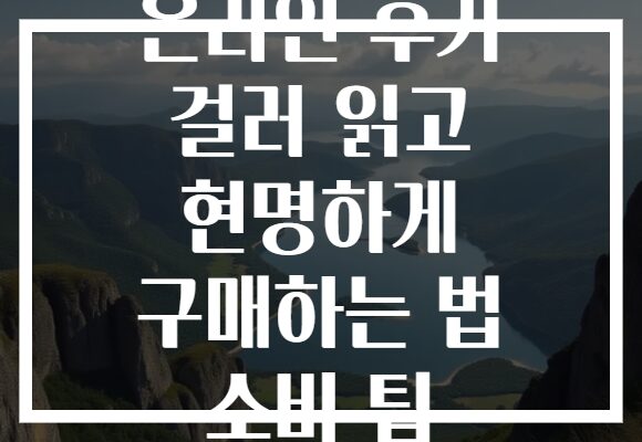 온라인 후기 걸러 읽고 현명하게 구매하는 법 소비 팁